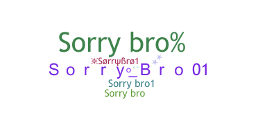 နာမ်မြောက်မည့်အမည် - Sorrybro1