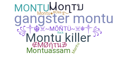 နာမ်မြောက်မည့်အမည် - Montu