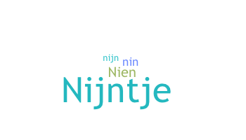 နာမ်မြောက်မည့်အမည် - Nienke