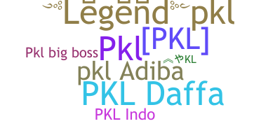 နာမ်မြောက်မည့်အမည် - PKL