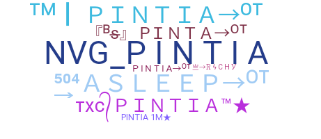 နာမ်မြောက်မည့်အမည် - Pintia