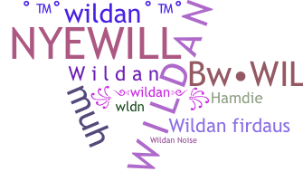 နာမ်မြောက်မည့်အမည် - Wildan