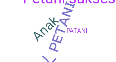 နာမ်မြောက်မည့်အမည် - Petani