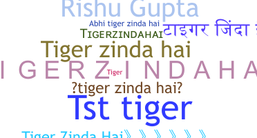 နာမ်မြောက်မည့်အမည် - TigerZindaHai