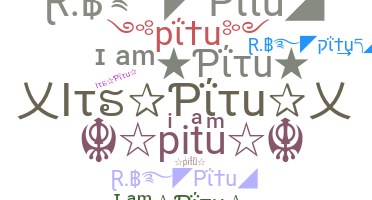 နာမ်မြောက်မည့်အမည် - pitu