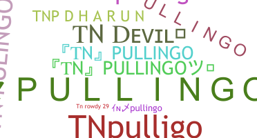 နာမ်မြောက်မည့်အမည် - TNpullingo