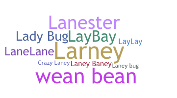 နာမ်မြောက်မည့်အမည် - Laney