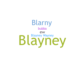 နာမ်မြောက်မည့်အမည် - Blayne