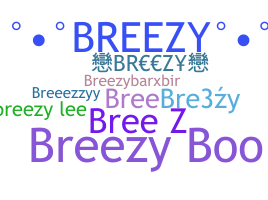 နာမ်မြောက်မည့်အမည် - Breezy