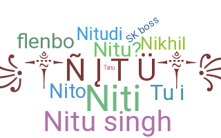 နာမ်မြောက်မည့်အမည် - nitu