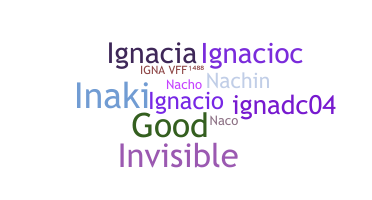 နာမ်မြောက်မည့်အမည် - Igna