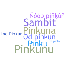 နာမ်မြောက်မည့်အမည် - pinkun