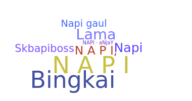 နာမ်မြောက်မည့်အမည် - napi