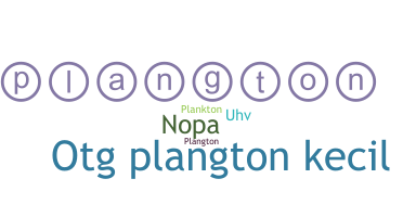 နာမ်မြောက်မည့်အမည် - plangton
