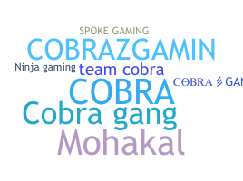 နာမ်မြောက်မည့်အမည် - CobraGang
