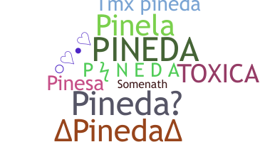 နာမ်မြောက်မည့်အမည် - Pineda