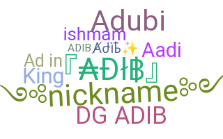 နာမ်မြောက်မည့်အမည် - Adib