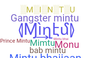 နာမ်မြောက်မည့်အမည် - Mintu