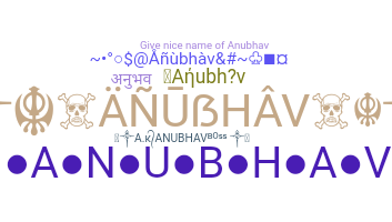 နာမ်မြောက်မည့်အမည် - Anubhav