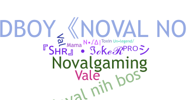 နာမ်မြောက်မည့်အမည် - Noval