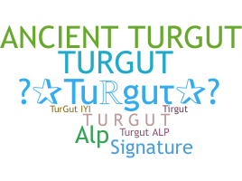 နာမ်မြောက်မည့်အမည် - Turgut