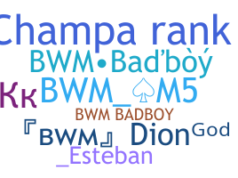 နာမ်မြောက်မည့်အမည် - BWM