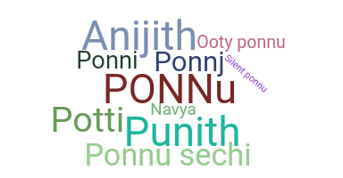 နာမ်မြောက်မည့်အမည် - Ponnu