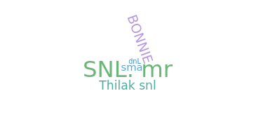 နာမ်မြောက်မည့်အမည် - SNL