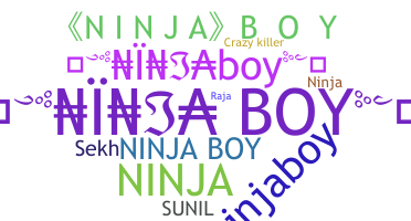 နာမ်မြောက်မည့်အမည် - NinjaBoy