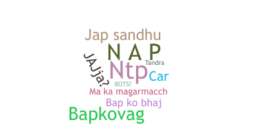 နာမ်မြောက်မည့်အမည် - NAP