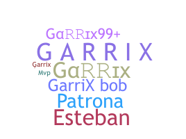 နာမ်မြောက်မည့်အမည် - Garrix