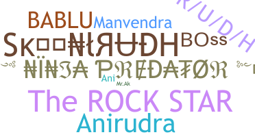 နာမ်မြောက်မည့်အမည် - Anirudha
