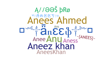 နာမ်မြောက်မည့်အမည် - Anees