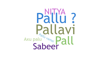 နာမ်မြောက်မည့်အမည် - Pallu