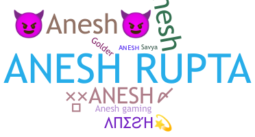 နာမ်မြောက်မည့်အမည် - Anesh