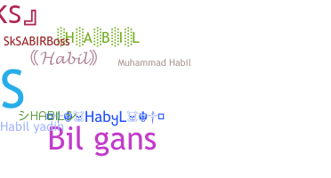 နာမ်မြောက်မည့်အမည် - Habil
