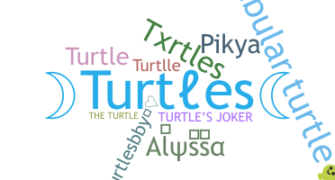နာမ်မြောက်မည့်အမည် - Turtles