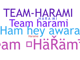 နာမ်မြောက်မည့်အမည် - Teamharami