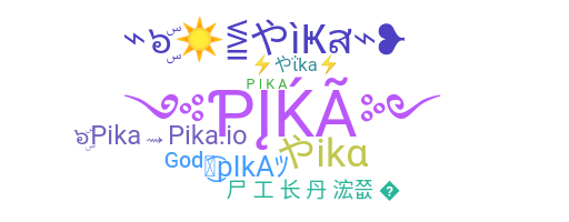 နာမ်မြောက်မည့်အမည် - Pika