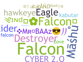 နာမ်မြောက်မည့်အမည် - Falcons