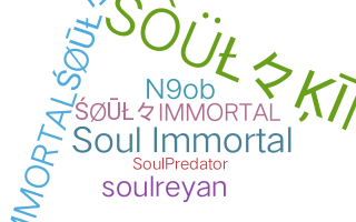 နာမ်မြောက်မည့်အမည် - SoulImmortal