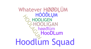 နာမ်မြောက်မည့်အမည် - hoodlum