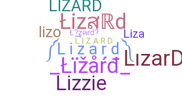 နာမ်မြောက်မည့်အမည် - Lizard